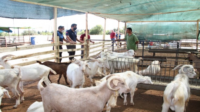 Menderes’te kurban satış yerleri hazır