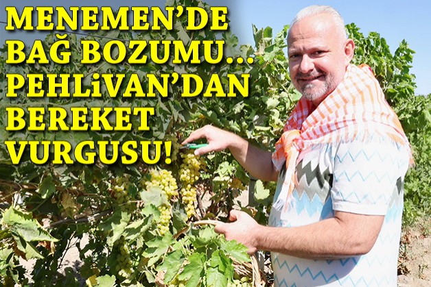 Menemen'de bağ bozumu gerçekleştirildi... Pehlivan'dan bereket vurgusu!
