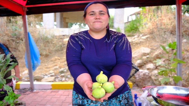 Menemen de festival rüzgarı esecek