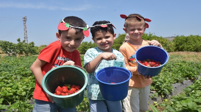 Menemenli çocuklardan tarlada festivale davet!