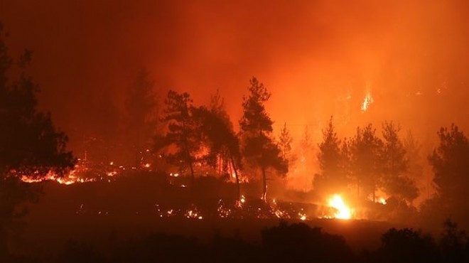 Mersin, Osmaniye ve Adana'da orman yangınları
