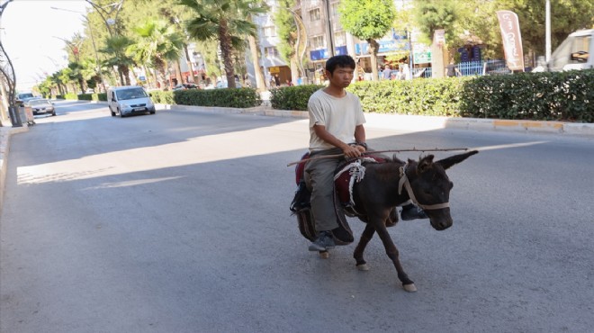 Merzifon dan başladı İzmir de tamamladı: Japon turistin eşekle Türkiye turu!