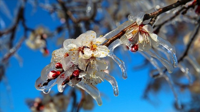 Meteorolojiden İzmir için önemli uyarı!