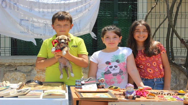 Minik yürekler sokak hayvanları için stant kurup, satış yaptı