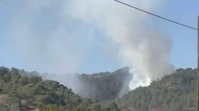 Muğla da orman yangını: Müdahale sürüyor