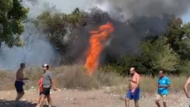 Muğla ve Malatya da orman yangını!