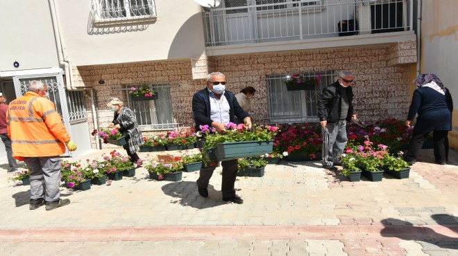 Narlıdere'de balkonlar çiçek açtı