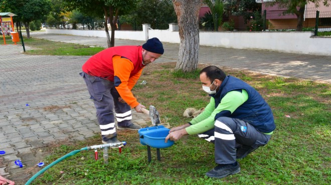 Narlıdere’de can dostlar için su kabı