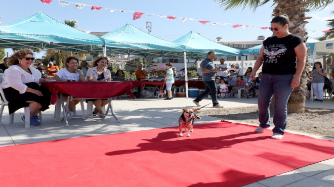 Narlıdere’de can dostlara özel festival