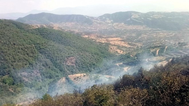 O ilçede orman yangını paniği!