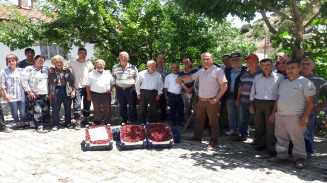 O ilçede  yeni kiraz satım yeri  talebi