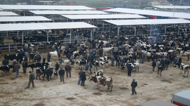 Ödemiş Hayvan Pazarı kapılarını açıyor