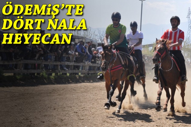 Ödemiş'te dört nala heyecan!