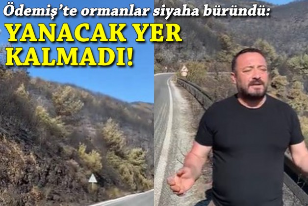 Ödemiş'te ormanlar siyaha büründü: Yanacak yer kalmadı!