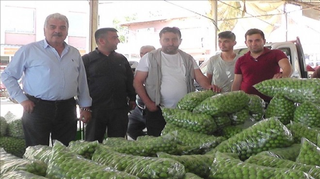 Ödemiş'te papaz eriği bereketi