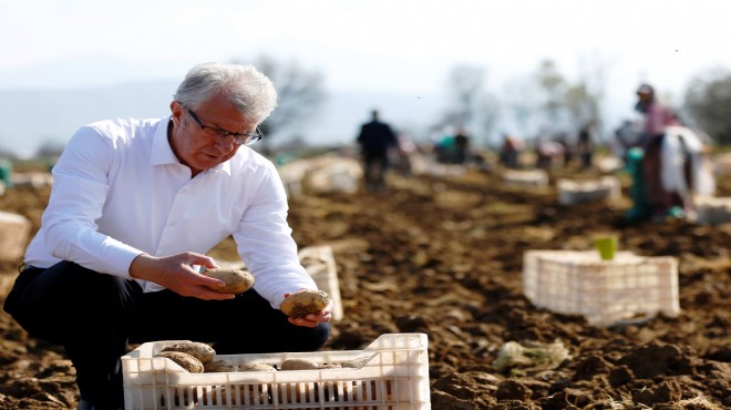 Ödemiş'te patates festivali heyecanı!