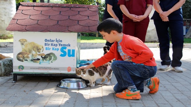 Ödemiş te sokak hayvanları unutulmadı