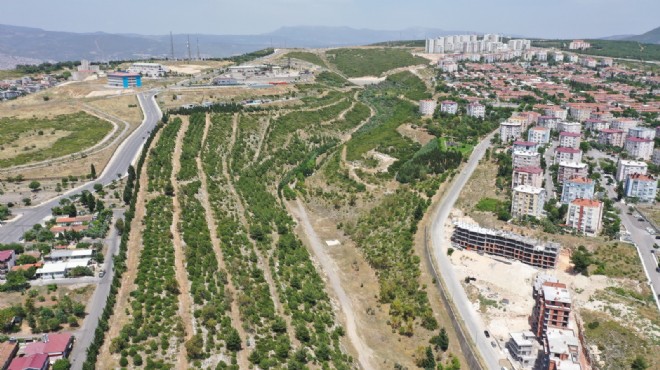 Ödüllü proje Portakal Vadisi'nde çalışmalar başladı