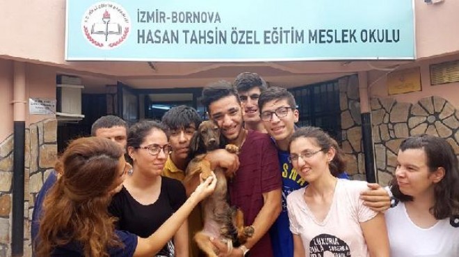 Öğrenciler 'Kepçe' ile hayvan sevgisini öğrendi