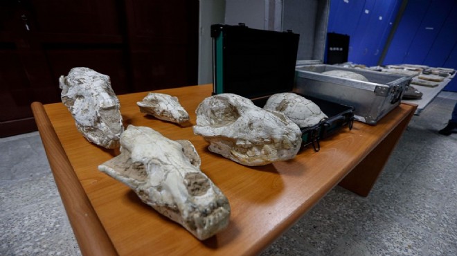 Oktar'ın kaçak fosilleri 417 milyon yıl öncesine ait çıktı