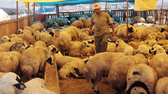 Önlemler tamam, Bornova bayrama hazır!