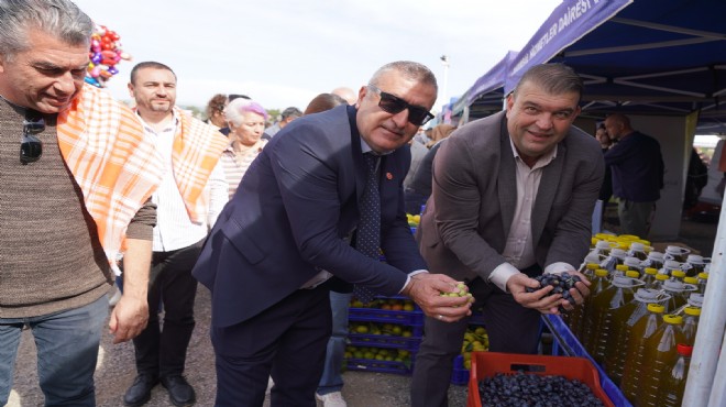 Orhanlı da 2. Zeytin Hasadı Festivali