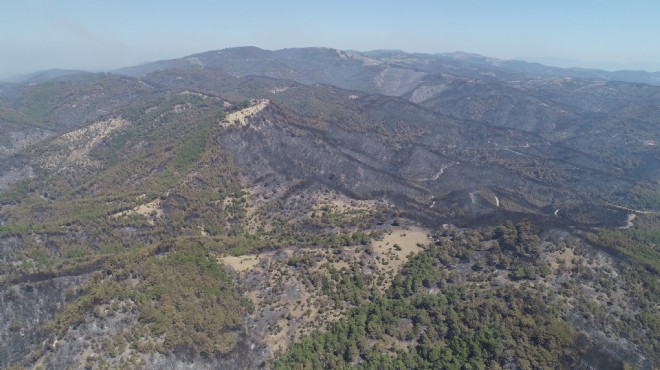 Orman yangını mağduru çiftçilere Büyükşehir den can suyu