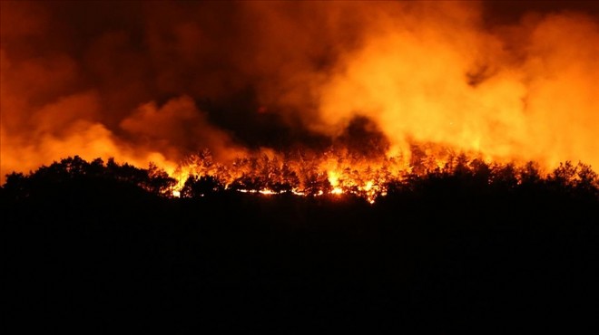 Orman yangınlarıyla ilgili 13 kişi tutuklandı