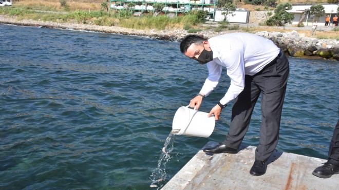 Pakdemirli'den balık tüketiminin artması için çağrı