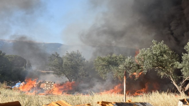 Palet atölyesinde yangın kabusu!