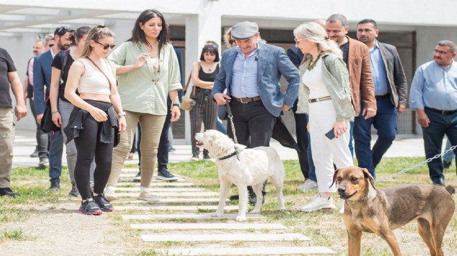 Pati dostları bu festivalde buluşacak!