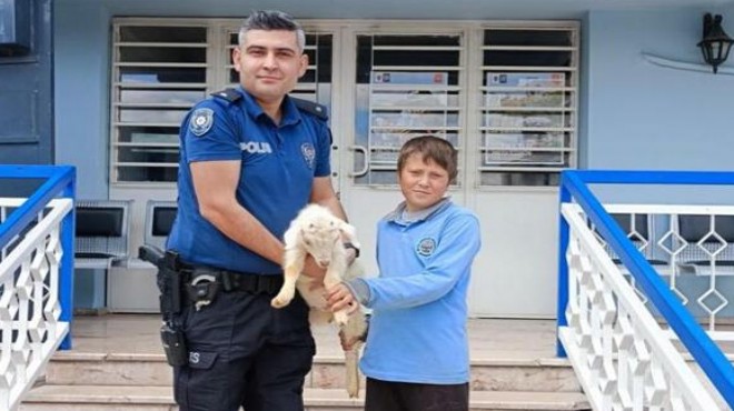 Polis, 2 çocuğa kuzu sevinci yaşattı