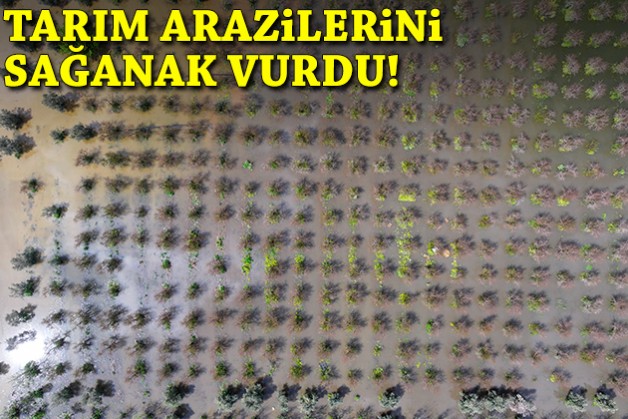 Sağanak tarım arazilerini vurdu: Tarlalar su altında!