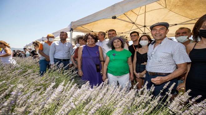 Seferihisar'da lavanta bayramı: Selvi Kılıçdaroğlu da katıldı