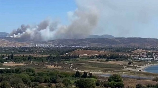 Seferihisar da yangın!