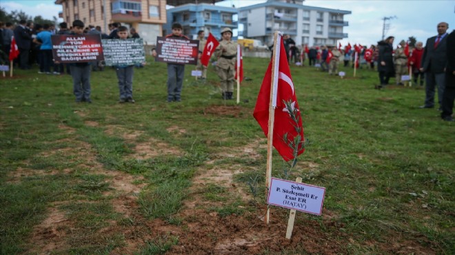 Şehitlerin isimleri zeytin fidanlarında yaşayacak