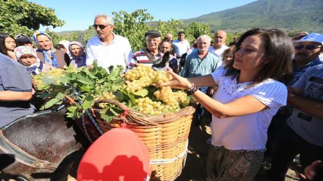 Selçuk'ta büyük üzüm şöleni!