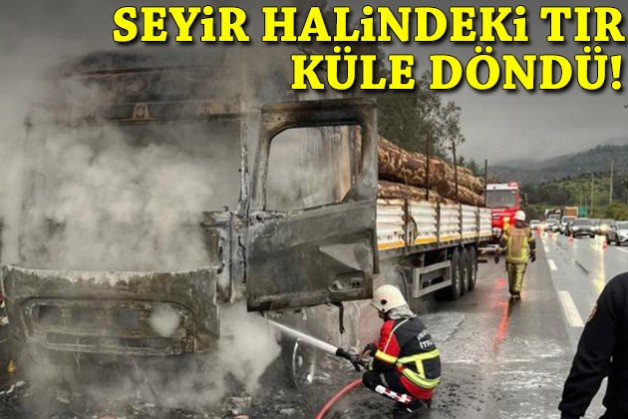 Seyir halindeki TIR küle döndü!