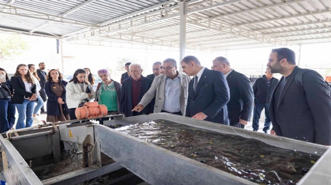 Sezonun ilk zeytinyağı Başkan Tugay’dan