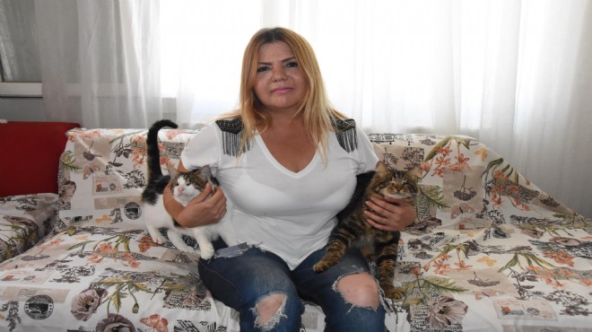 Şikayet ettiği komşusu ile 'kedi maması' karşılığında uzlaştı