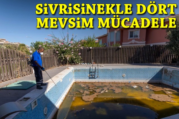 Sivrisinekle dört mevsim mücadele