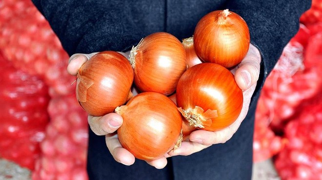 Soğanda gümrük vergisi sıfırlandı!