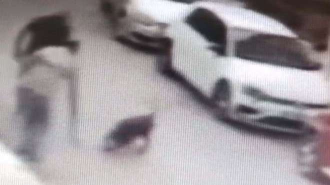 Vicdansız: Sokak köpeğine kemerli saldırı!