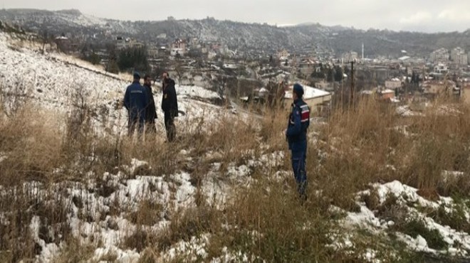 Sokak köpekleri öğrencilere saldırdı: 1 ölü, 1 yaralı