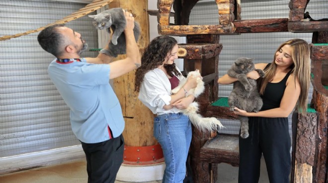 Sokaktaki patiler Konak’ta yeni ailelerini bekliyor