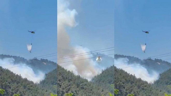 Soma da orman yangını: Müdahale sürüyor