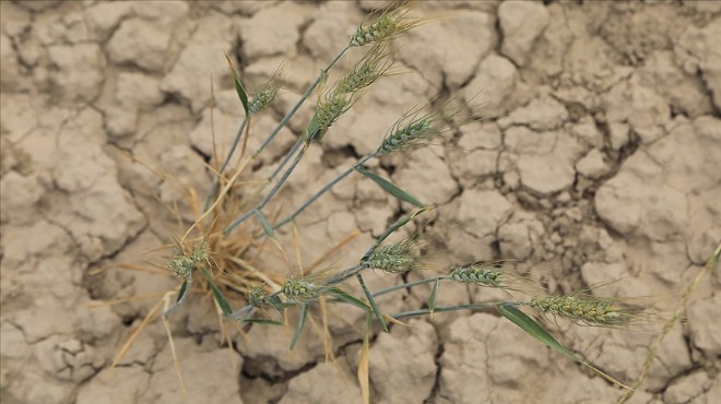Son 20 yılın en kurak dönemi: Tarımsal afet yaşanıyor!
