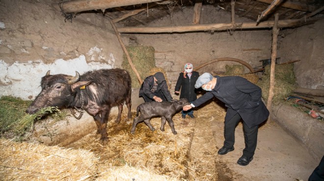 Soyer 'Mandal ve Mandalina'yı duyurdu ve ekledi: Hayalimiz...