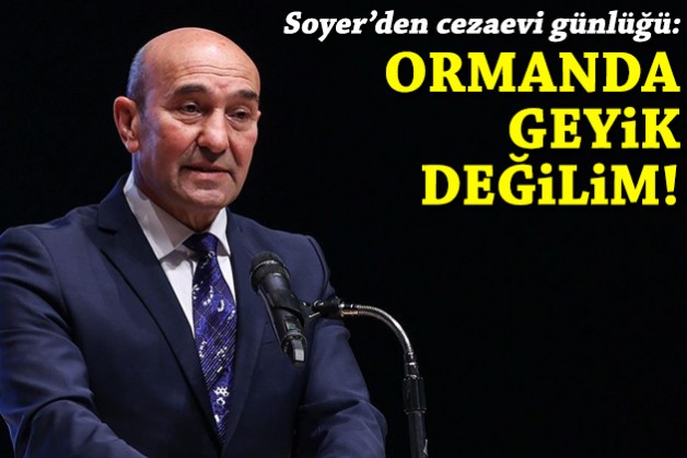 Soyer'den cezaevi günlüğü: Ormanda geyik değilim!