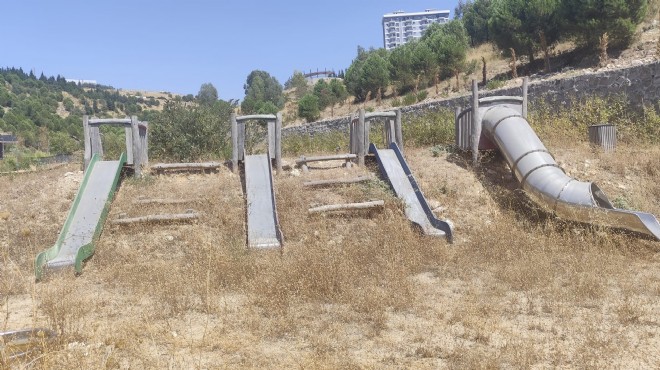 Soyer in projesiydi: Portakal Vadisi nin içler acısı hali!